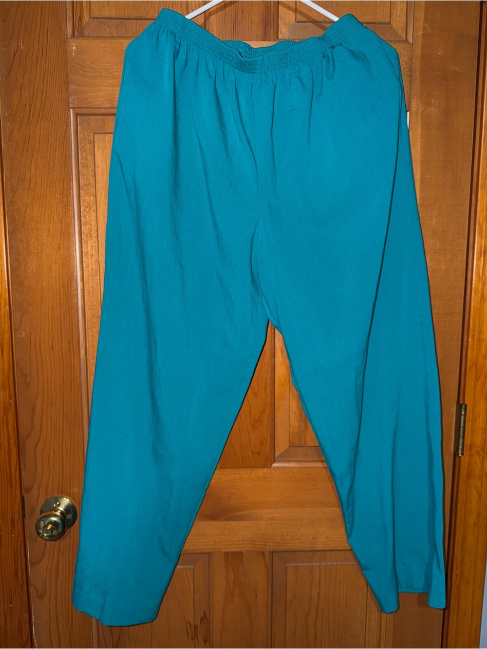 Vintage Alfred Dunner women’s size 14 turquoise pants